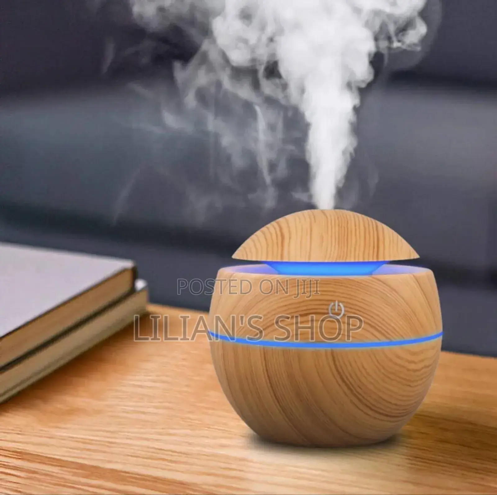 Egg Shape Aroma Humidifier