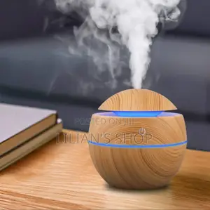 Egg Shape Aroma Humidifier