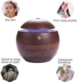 Egg Shape Aroma Humidifier