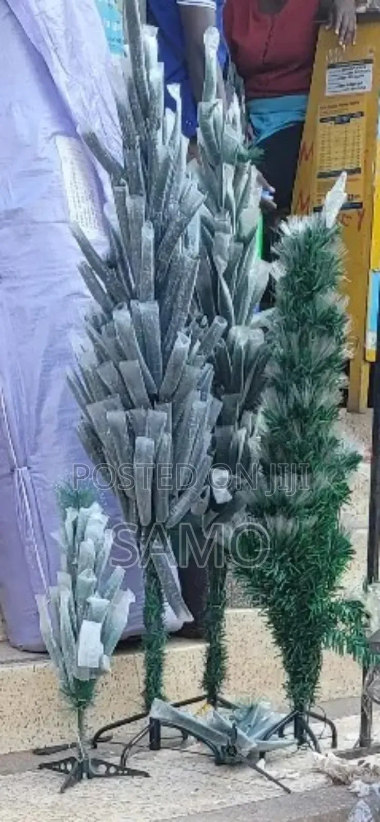 Christmas Trees