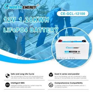 100ah 1.28owh Cworth Energy Lithium Battery