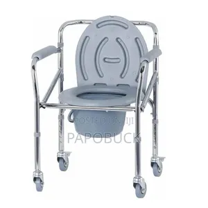 4 in 1 Folding Potty Chair