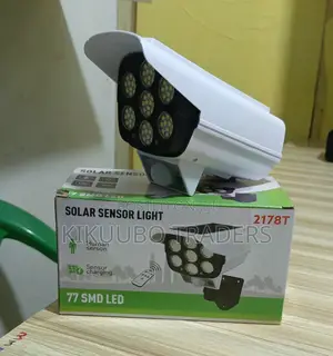 Waterproof Outdoor Solar Motion Sensor Light-White