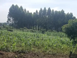 Photo - Commercial Acre for Sale in Kira Wakiso District