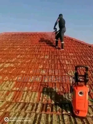 Roof Top Tile Cleaning