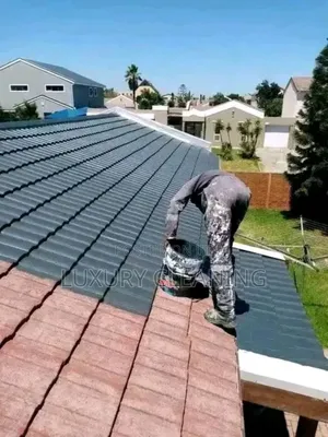 Roof Top Tile Cleaning