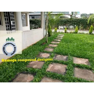 Natural Paspalum Grass and Landscape