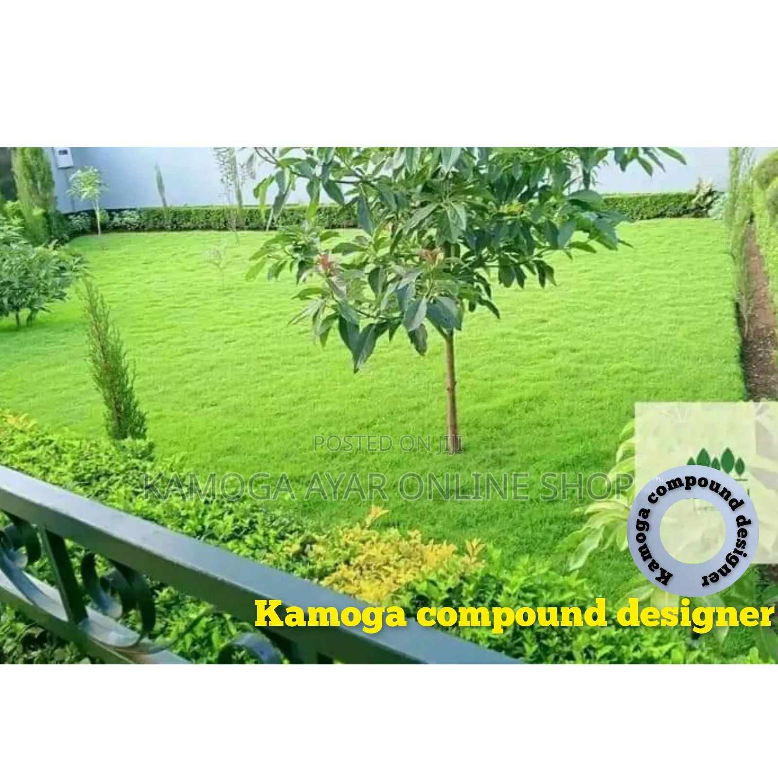 Hybrid Natural Paspalum Grass and Landscape