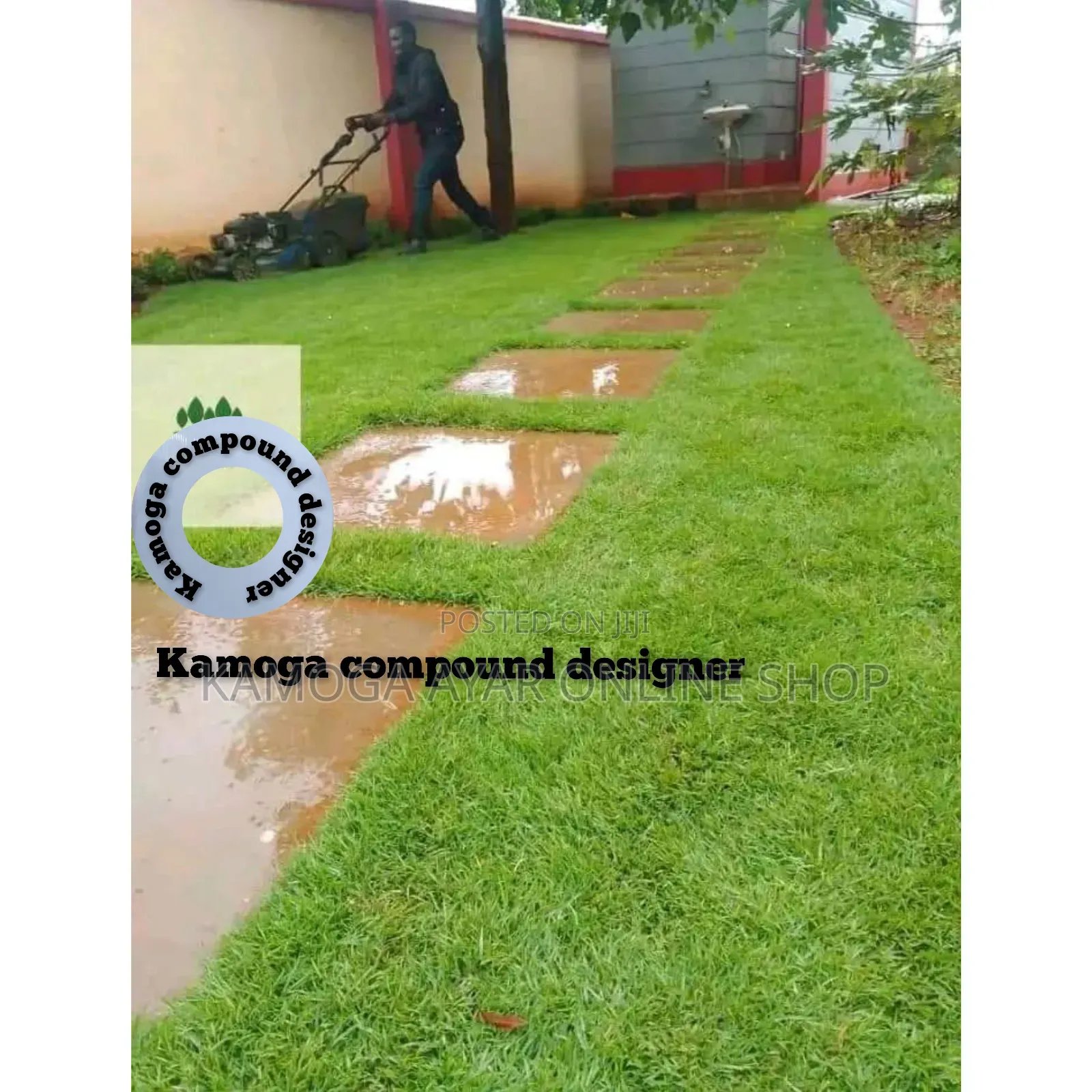 Hybrid Natural Paspalum Grass and Landscape