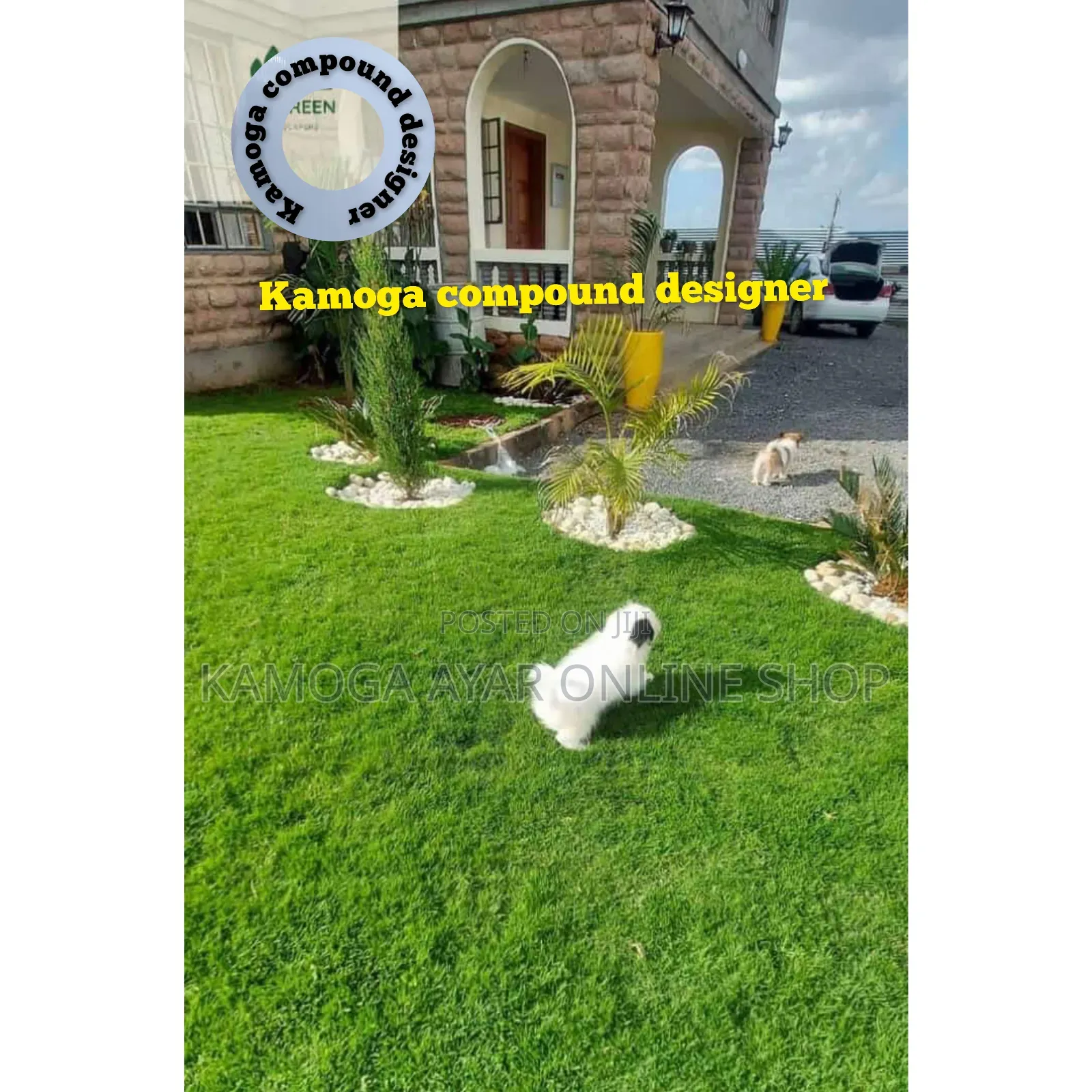Carpet Paspalum Grass and Landscape