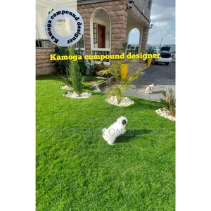 Carpet Paspalum Grass and Landscape