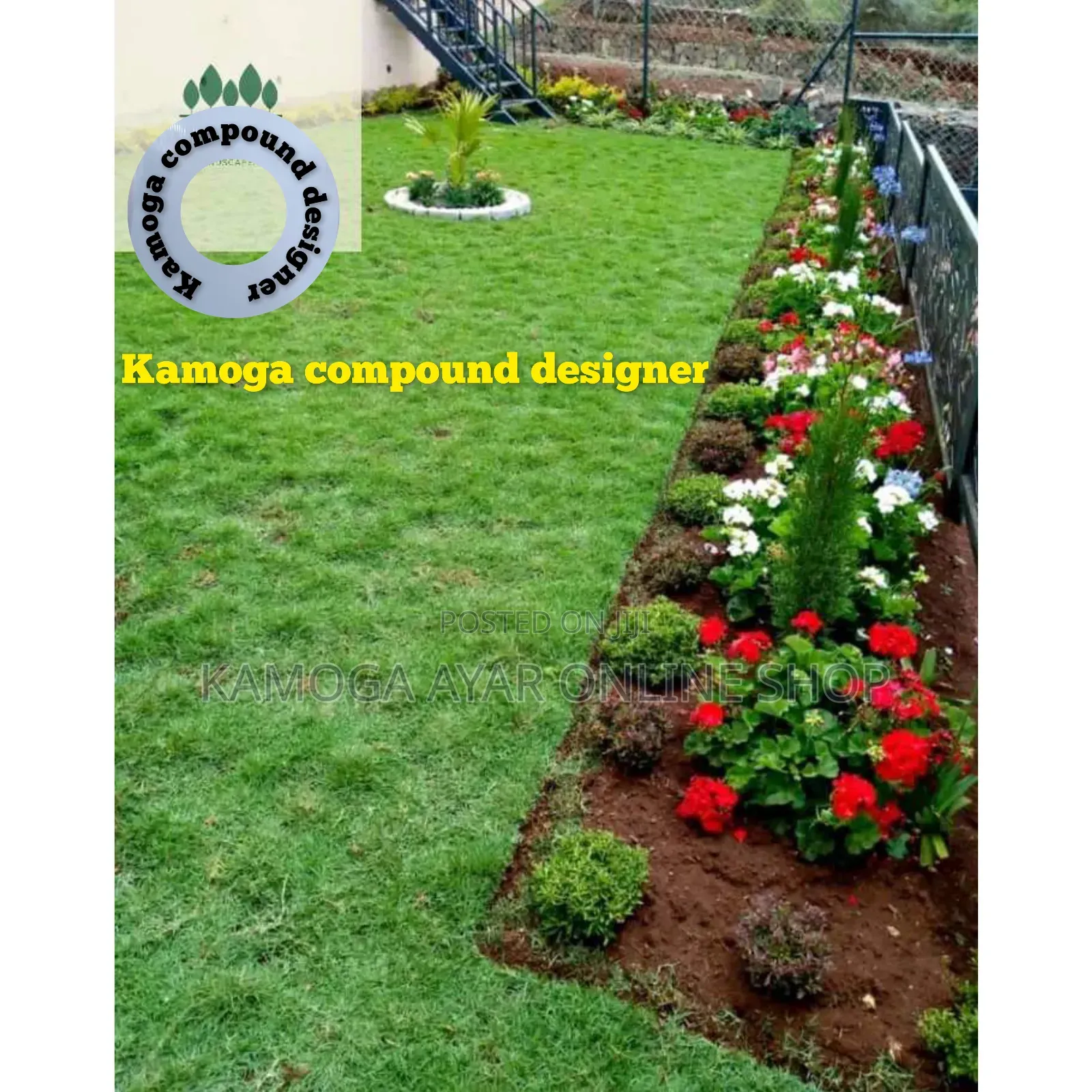 Hybrid Natural Paspalum Grass Carpet and Landscape