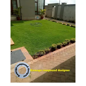 Hybrid Natural Paspalum Grass Carpet and Landscape
