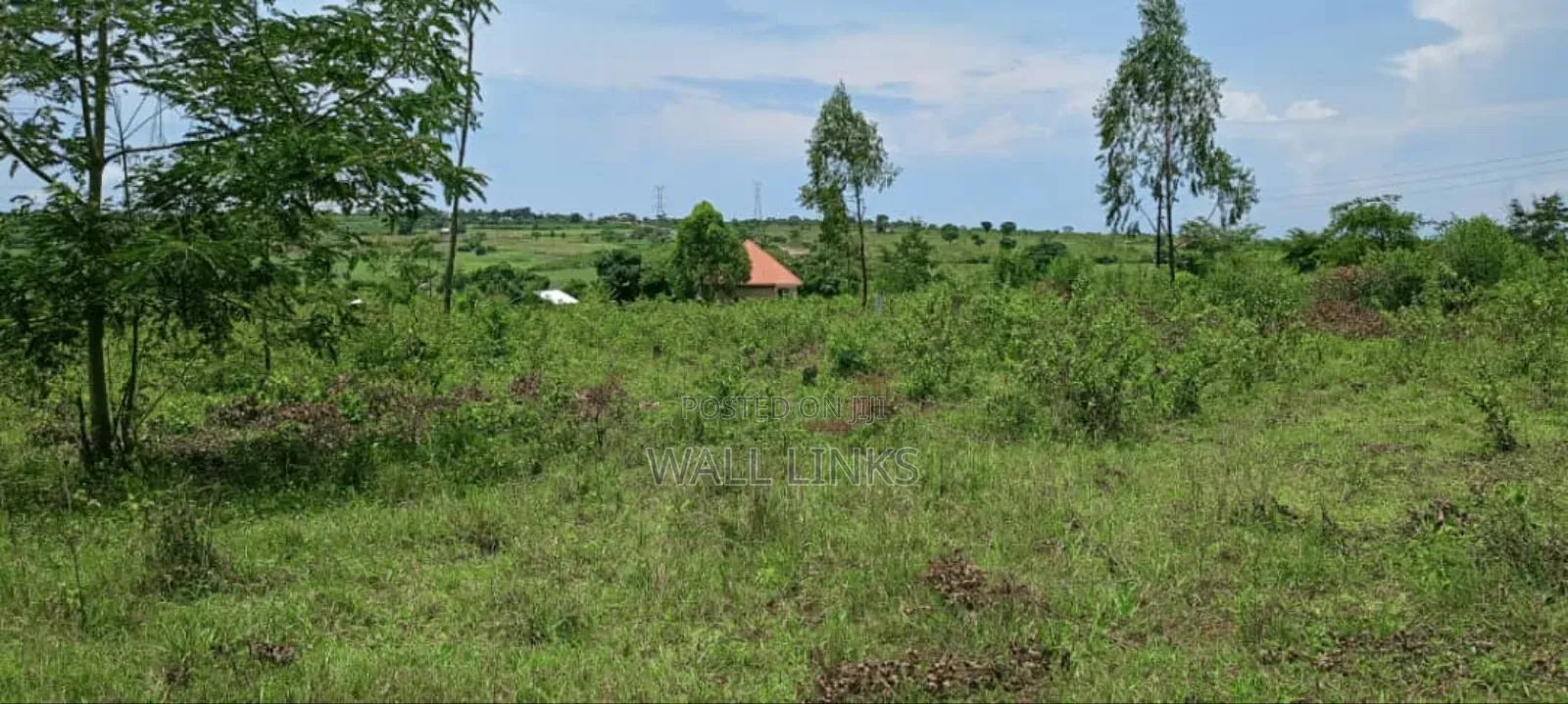 Acres of Land for Rent