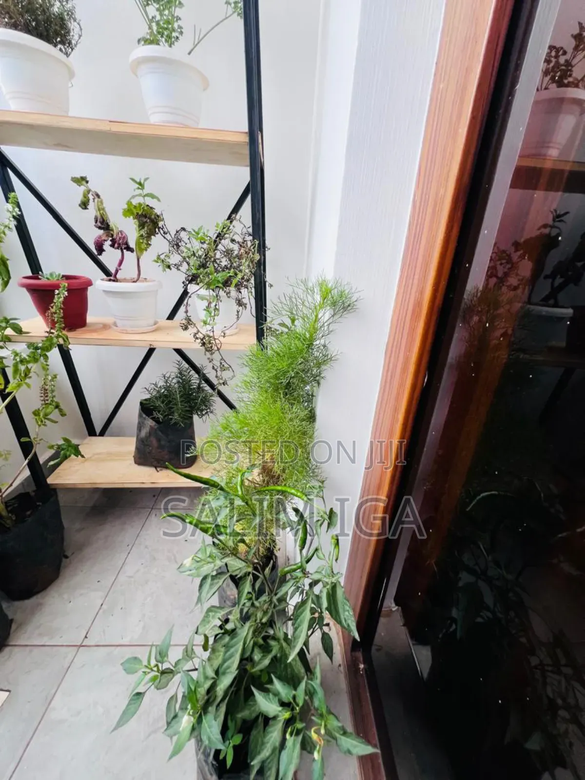 Furnished Studio Apartment in Kololo Property, Central Division