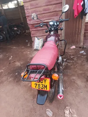 Yamaha Crux 2019 Brown