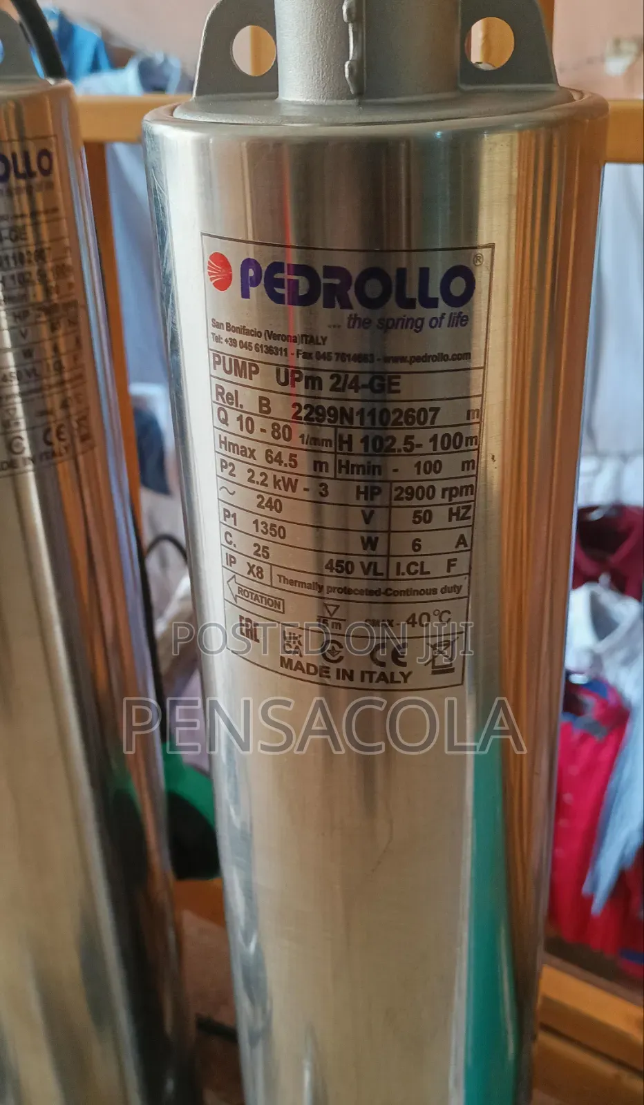 100m Pedrollo Water Pump
