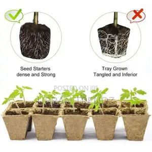 12 Pack Seed Starter Tray Kit Organic Biodegradable