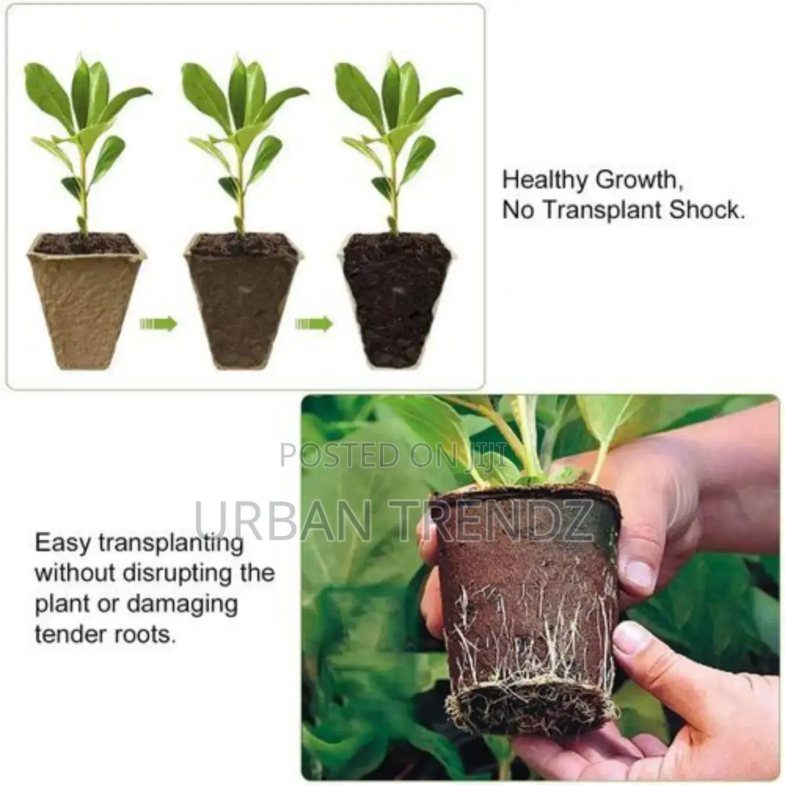 12 Pack Seed Starter Tray Kit Organic Biodegradable