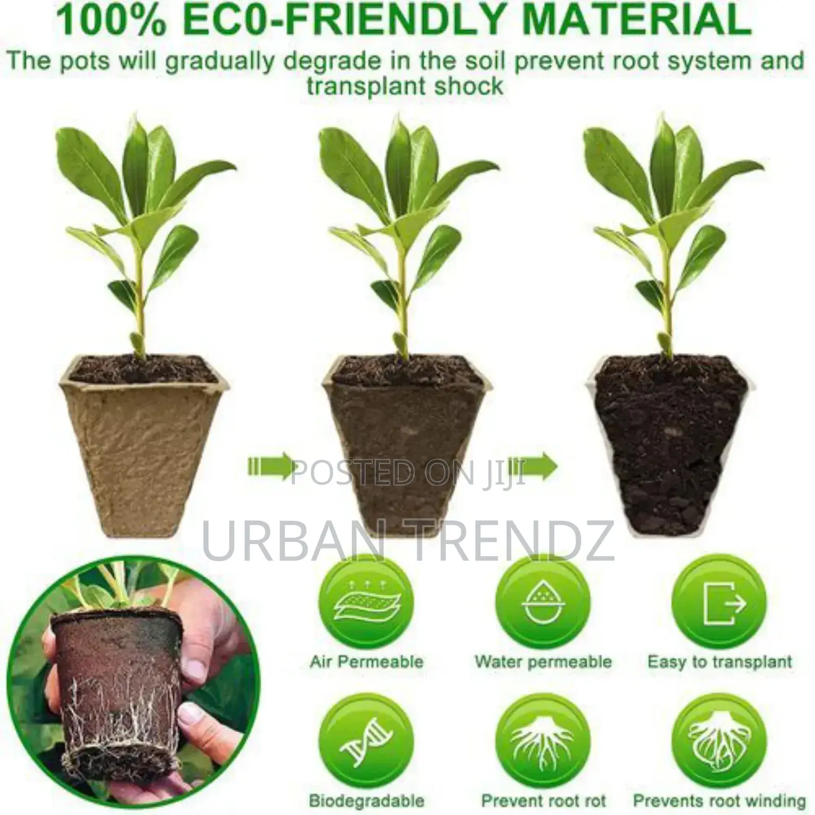 12 Pack Seed Starter Tray Kit Organic Biodegradable