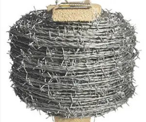 Photo - Barbed Wire
