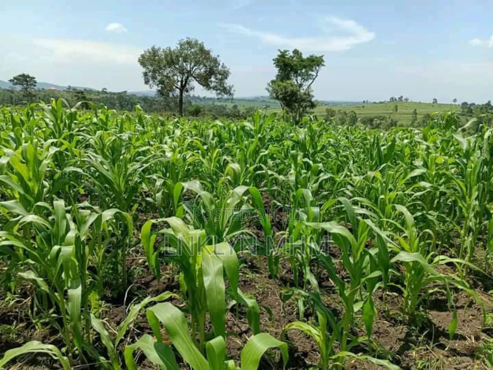 360 Acres of Land for Sale