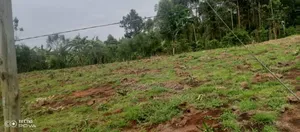 360 Acres of Land for Sale
