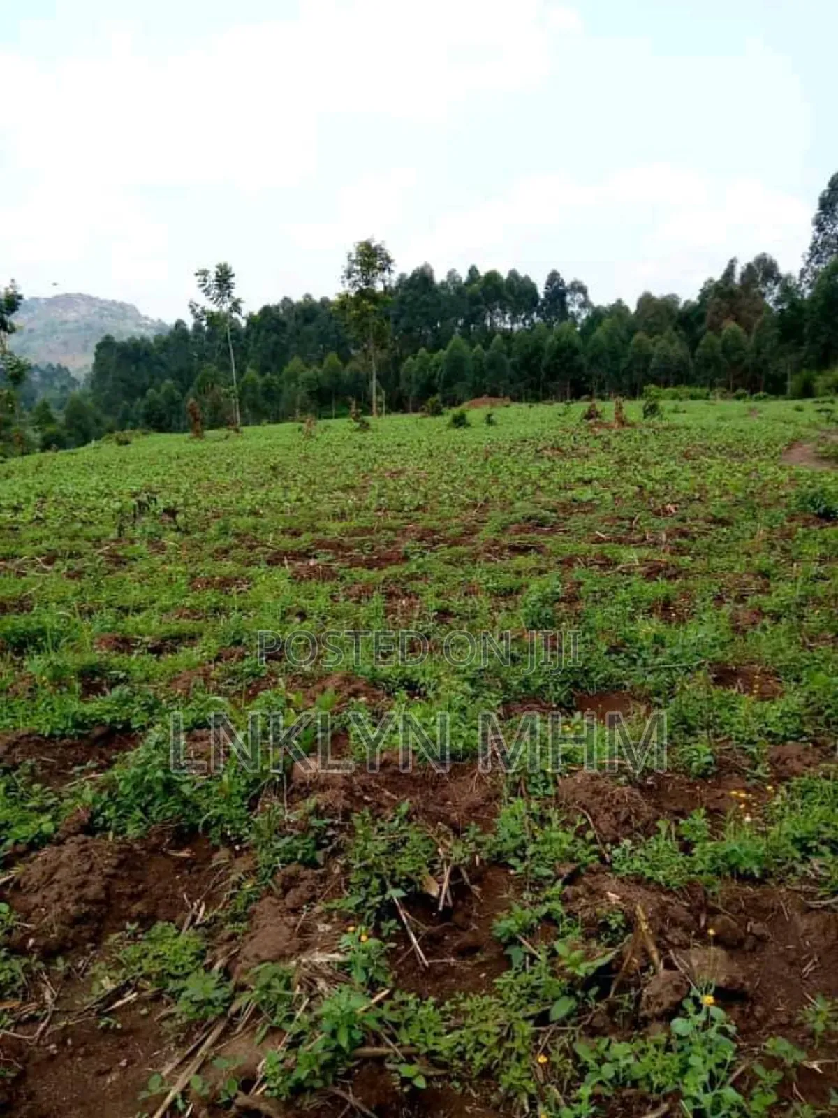 360 Acres of Land for Sale