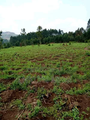 360 Acres of Land for Sale