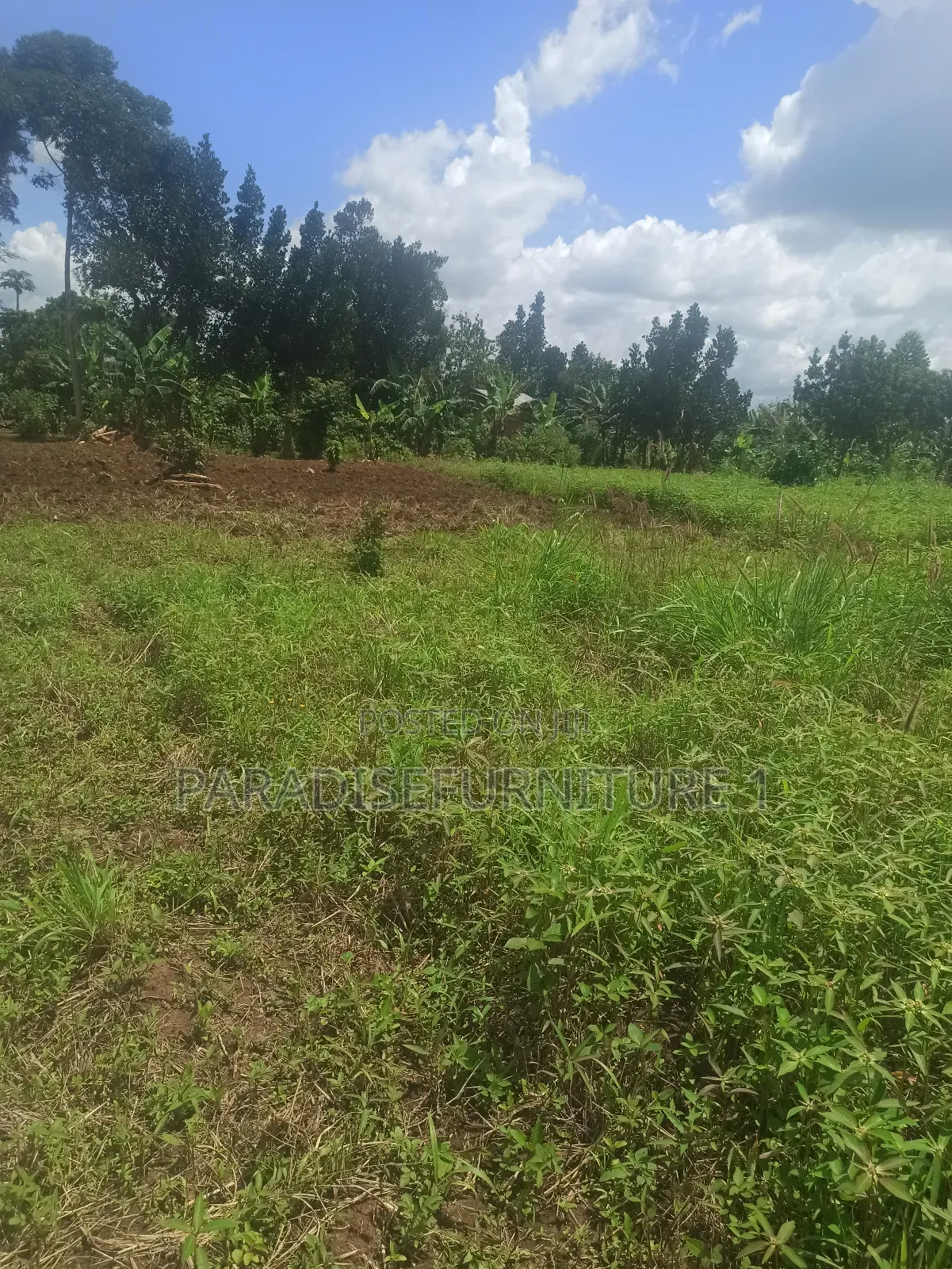 Plot on Sale 2.9m 25*50ft