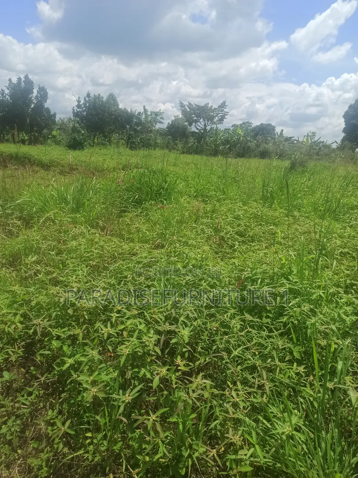 Plot on Sale 2.9m 25*50ft