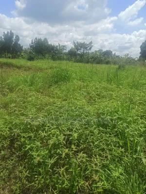 Plot on Sale 2.9m 25*50ft