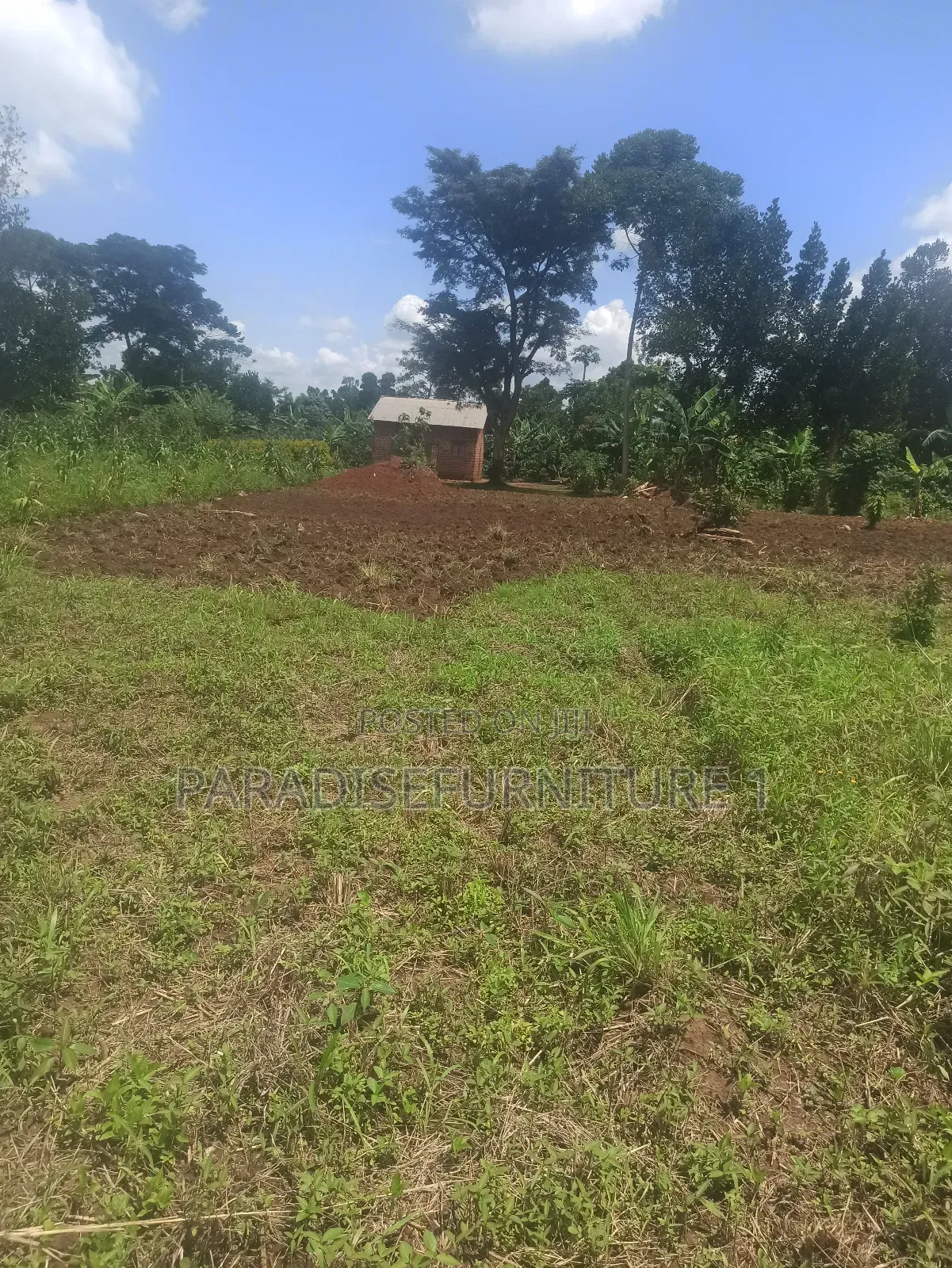 Plot on Sale 2.9m 25*50ft