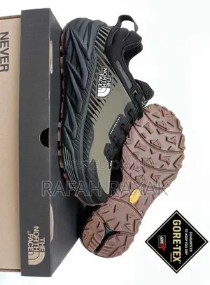 Original the North Face Gore-Tex Comfortable Hiking Sneakers