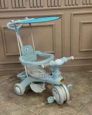 2in1 Transformable Kids Tricycle Scooter WTH Side Supports