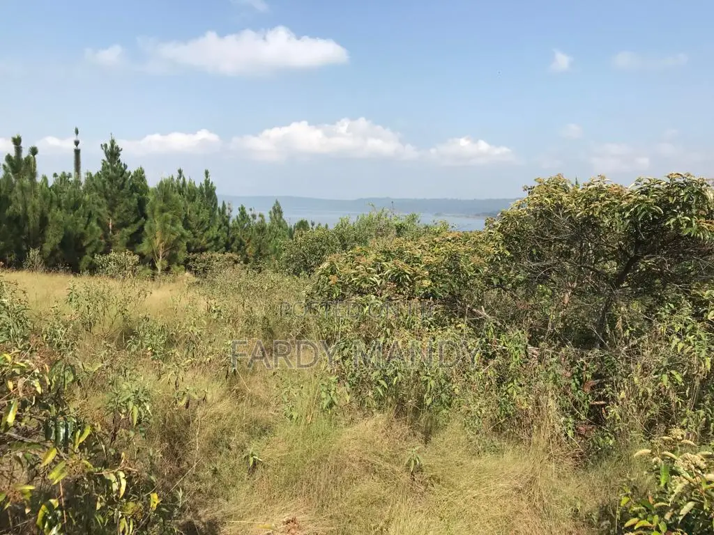 Plot of Land - Lakeside in Mweena-Ssozi , Kalangala District