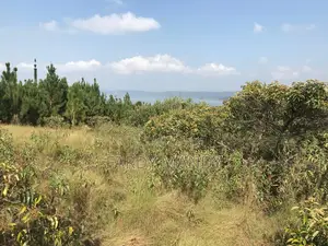 Plot of Land - Lakeside in Mweena-Ssozi , Kalangala District