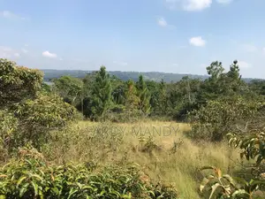 Plot of Land - Lakeside in Mweena-Ssozi , Kalangala District