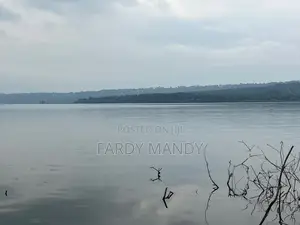 Plot of Land - Lakeside in Mweena-Ssozi , Kalangala District