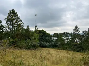 Plot of Land - Lakeside in Mweena-Ssozi , Kalangala District