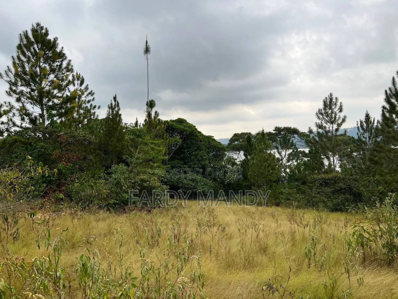 Plot of Land - Lakeside in Mweena-Ssozi , Kalangala District