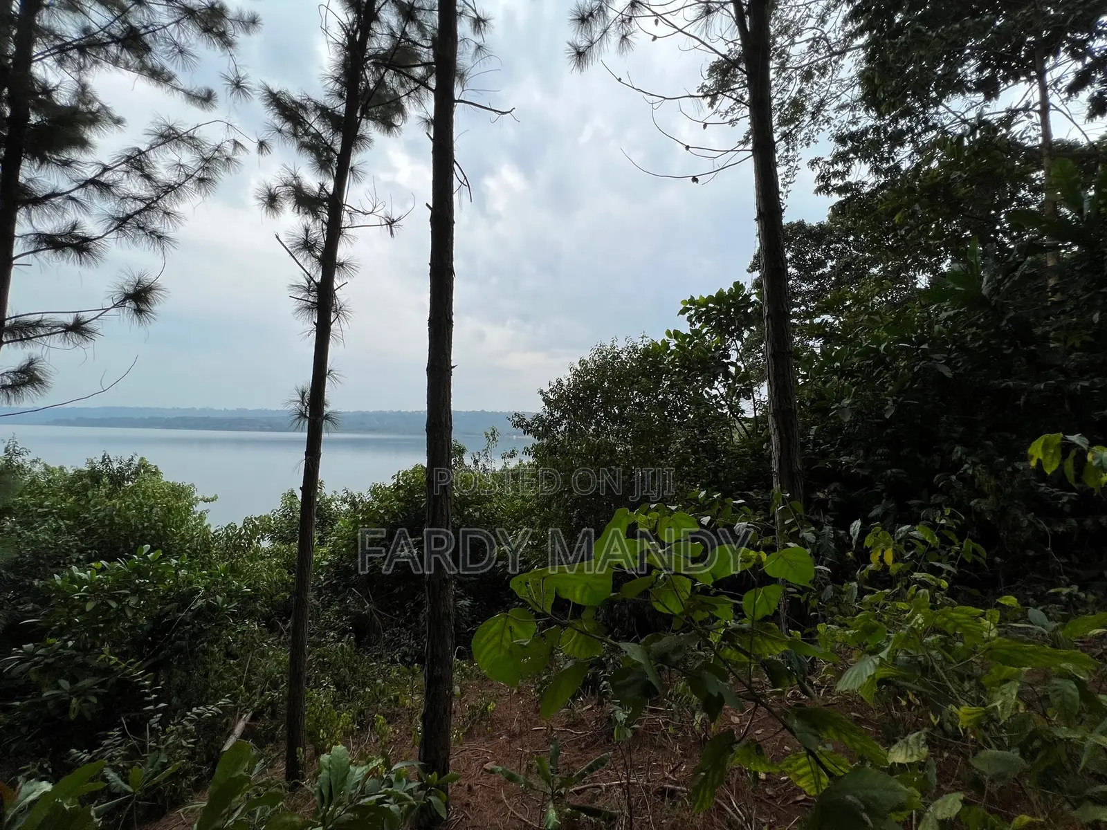 Plot of Land - Lakeside in Mweena-Ssozi , Kalangala District