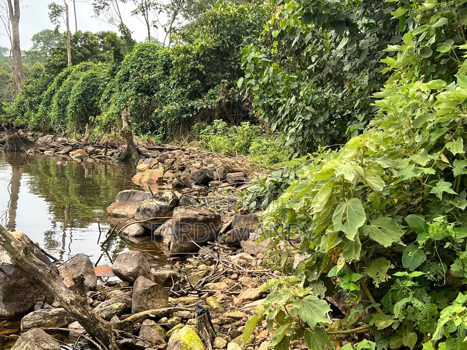 Plot of Land - Lakeside in Mweena-Ssozi , Kalangala District