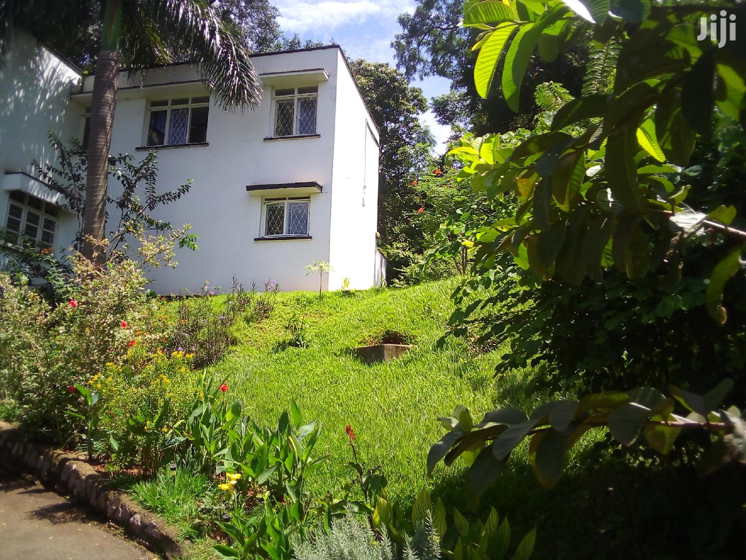 House For Rent