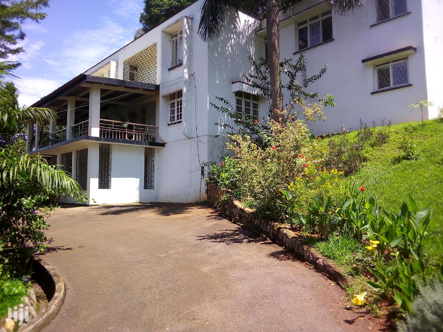House For Rent