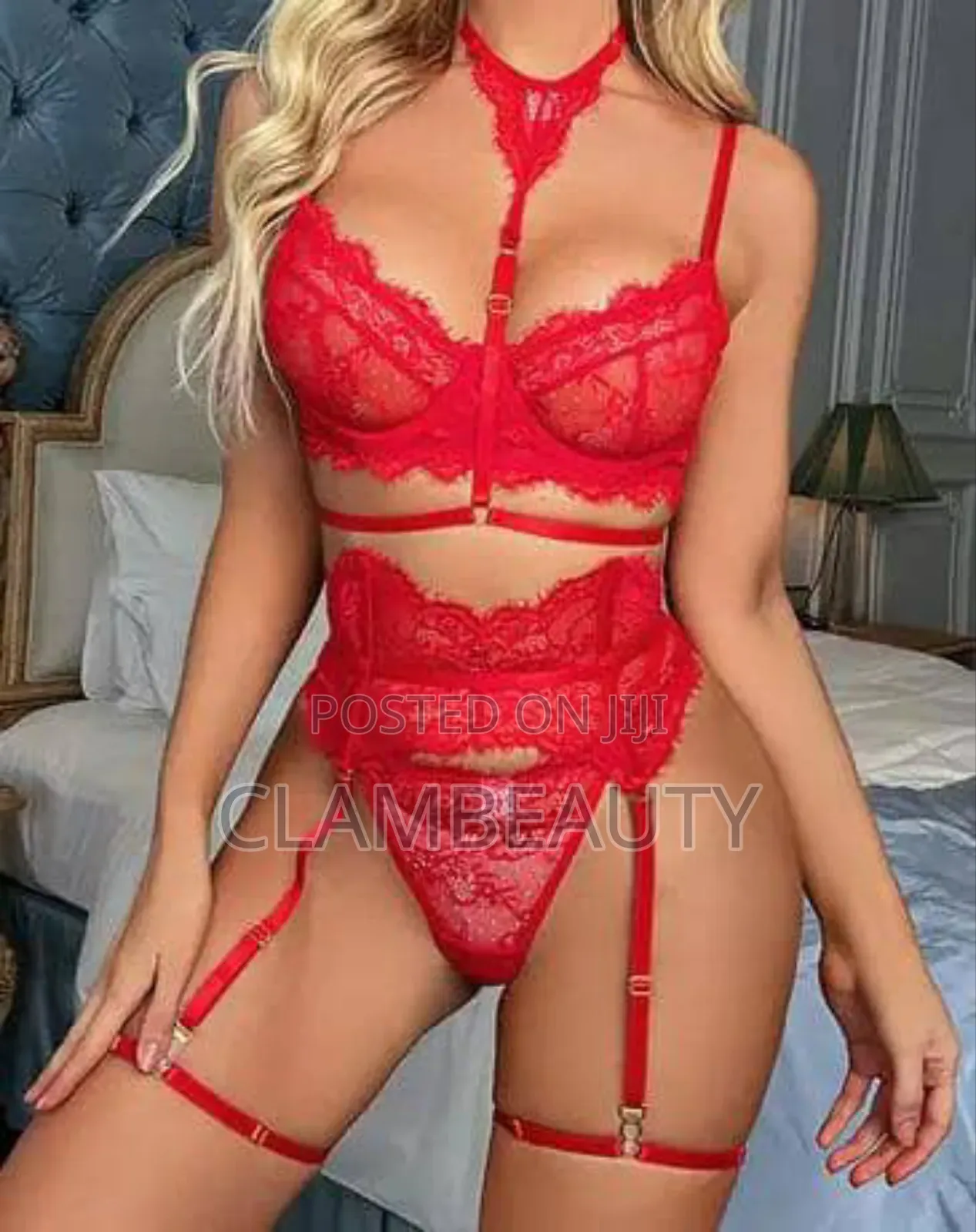 Lingerie Sexy Bra and Knicker Set