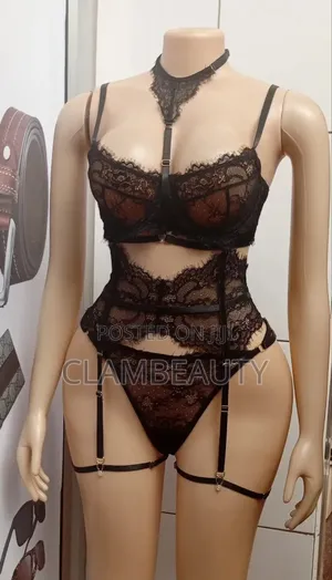 Lingerie Sexy Bra and Knicker Set
