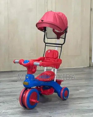 Kids Musical Lights Transformable Tricycle WTH Umbrella