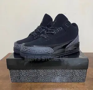 Air Jordan 3 Plain Black
