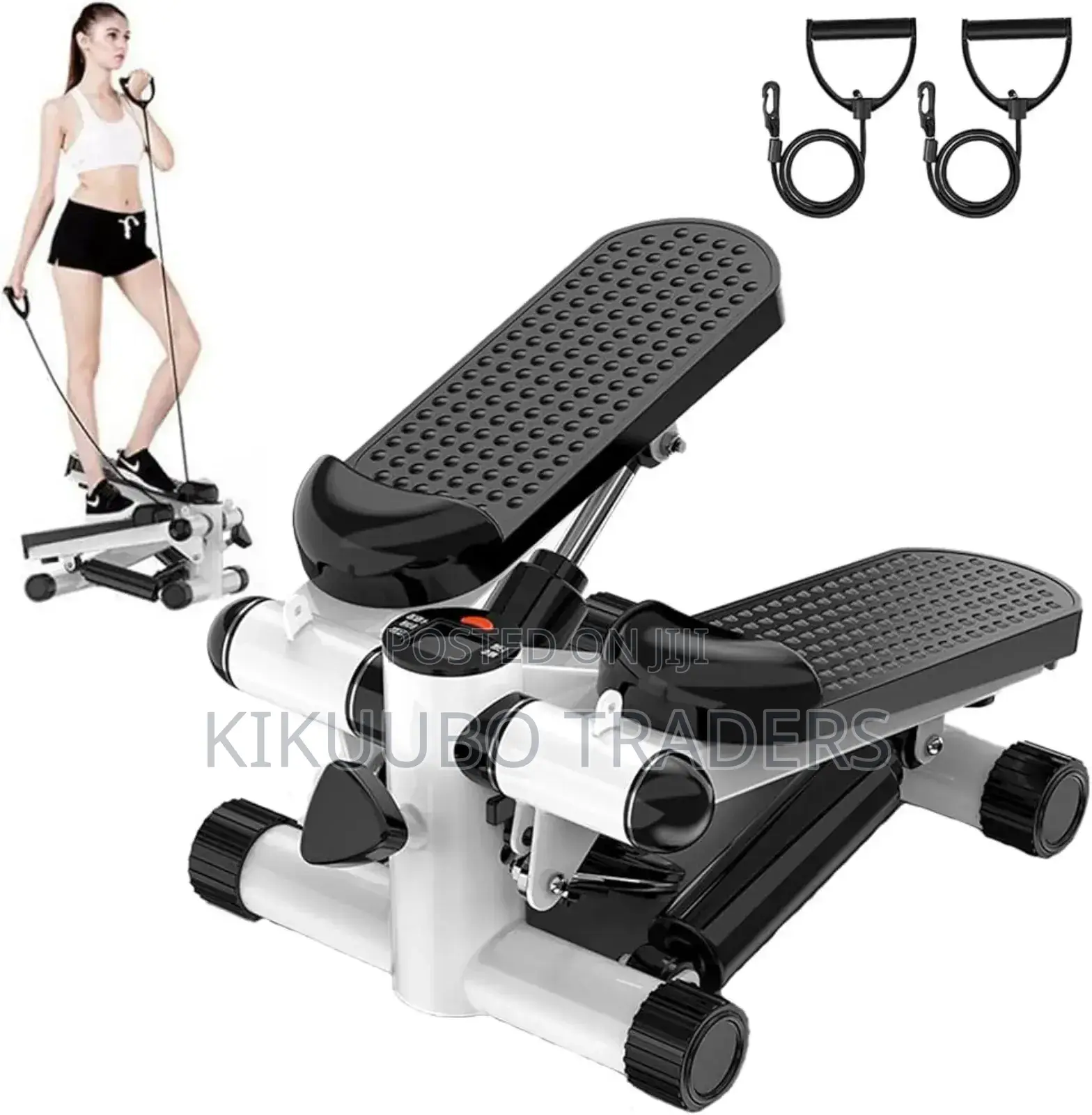 Multifunctional Fitness Twist Stepper